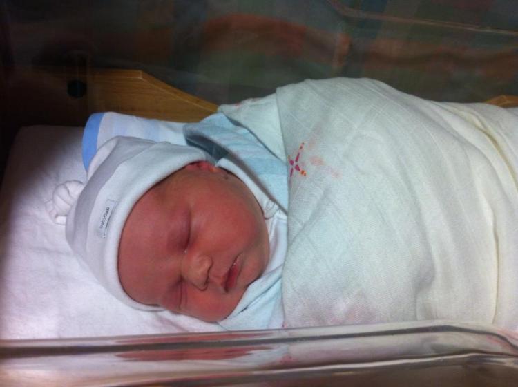 1457516_10151948291602560_1655930666_n